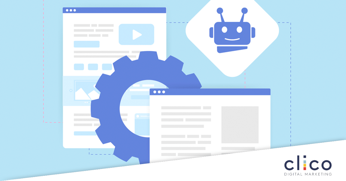 expertos en seo